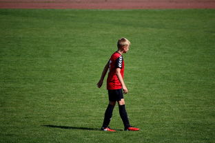 华体会在线登陆-NBA球员高原训练对平原比赛状态的影响，平原运动员进行高原训练原因